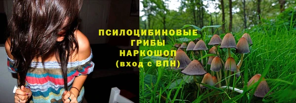 дурь Абинск