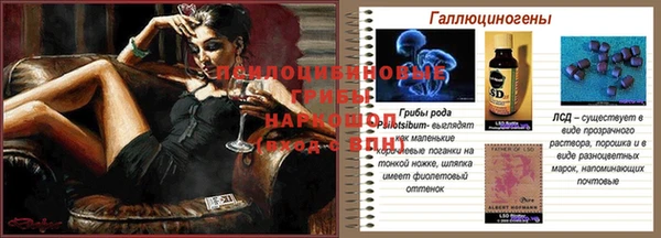 дурь Абинск