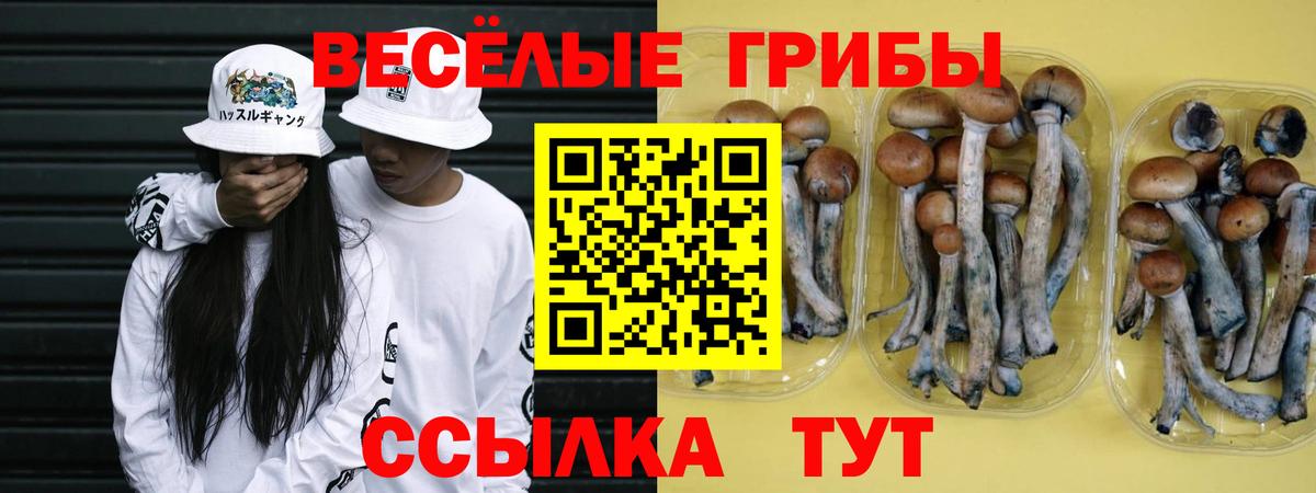 Лабытнанги  Галлюциногенные грибы MAGIC MUSHROOMS  Псилоцибиновые грибы Psilocybe  Вход с VPN 